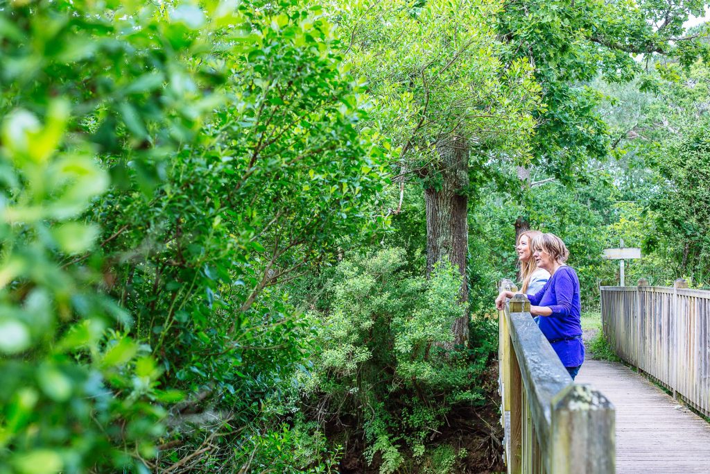 Bassin in Arcachon: Auf dem Weg in eine grüne Zukunft!