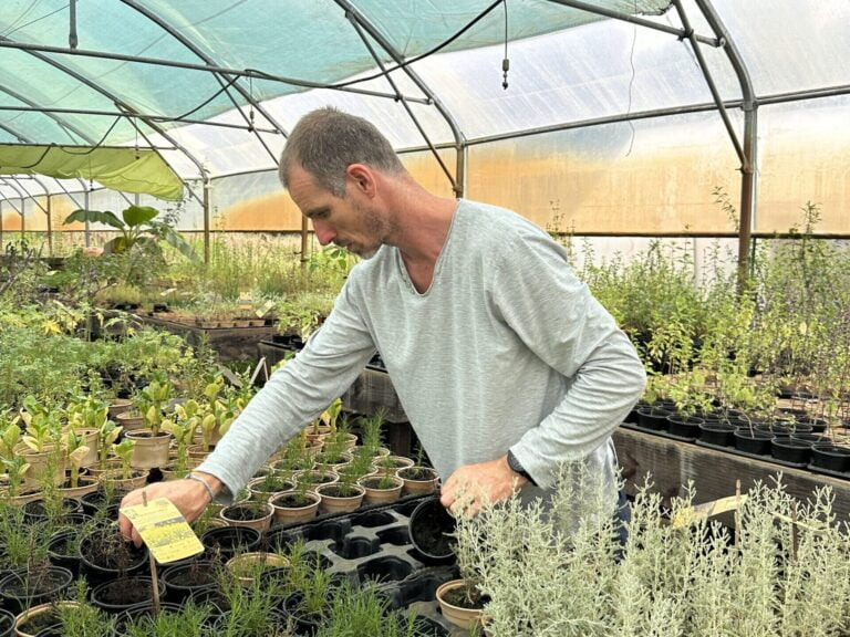 Cyril, el jefe de Serre Ô Délices que instala macetas