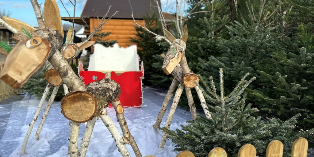 Weihnachtszauber auf dem Bassin! - Weihnachtsmarkt Le Teich - Bassin d'Arcachon