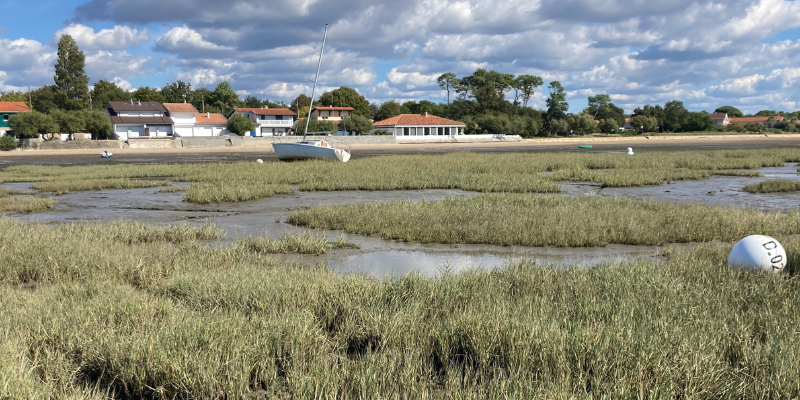 Mis vacaciones comprometidas con Bassin d'Arcachon - Diseño sin título 2025 01 17T091123.290 - Bassin d'Arcachon