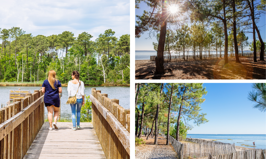 Ilustración de los paisajes de St Brices Les Quinconces