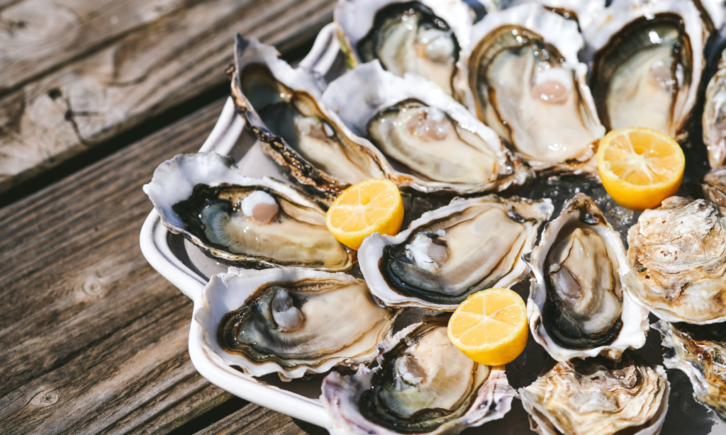 Ilustración de un plato de ostras