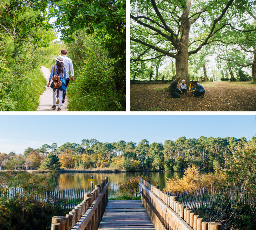 Вокруг света за 80 км... не выходя из Bassin! - Визуальные эффекты Ares - Bassin d'Arcachon
