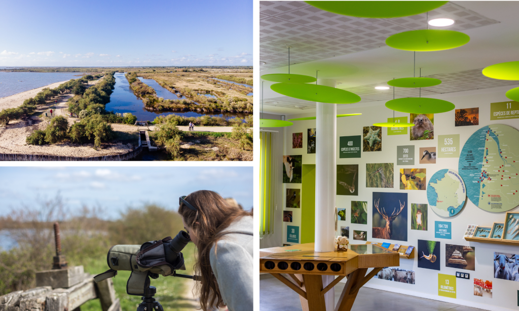 La vuelta al mundo en 80 km... ¡como una tribu! - Diseño sin título 2025 02 12T154340.398 - Bassin d'Arcachon