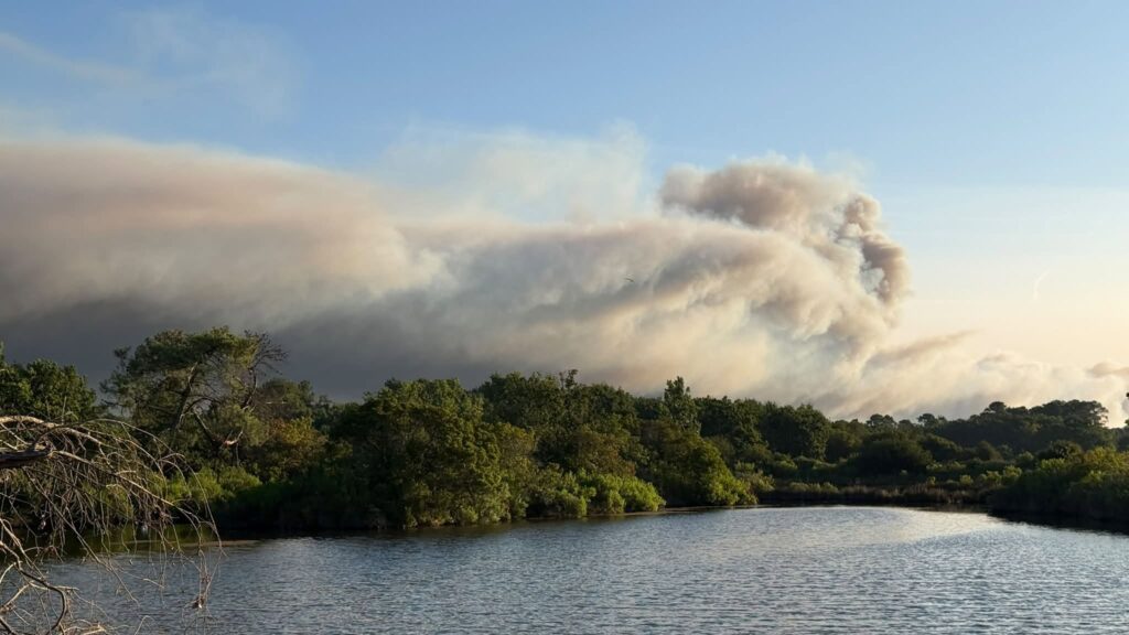 Incendies L ge Cap Ferret Le Point Sur Les Acc s Et Les Activit s 