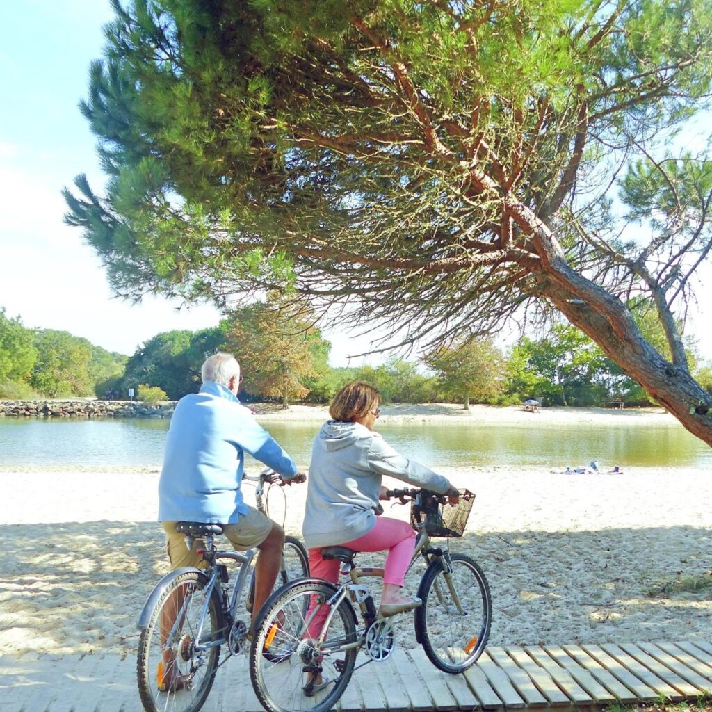 Bassin d'Arcachon